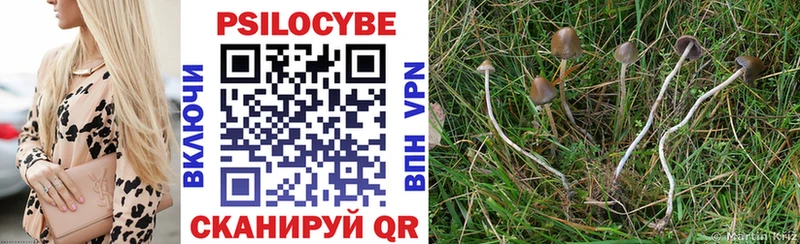 это как зайти  Минусинск  Псилоцибиновые грибы мухоморы 